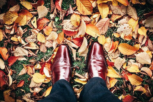 a close up of male shoes standing on leaves symbolising autumn fashion tips